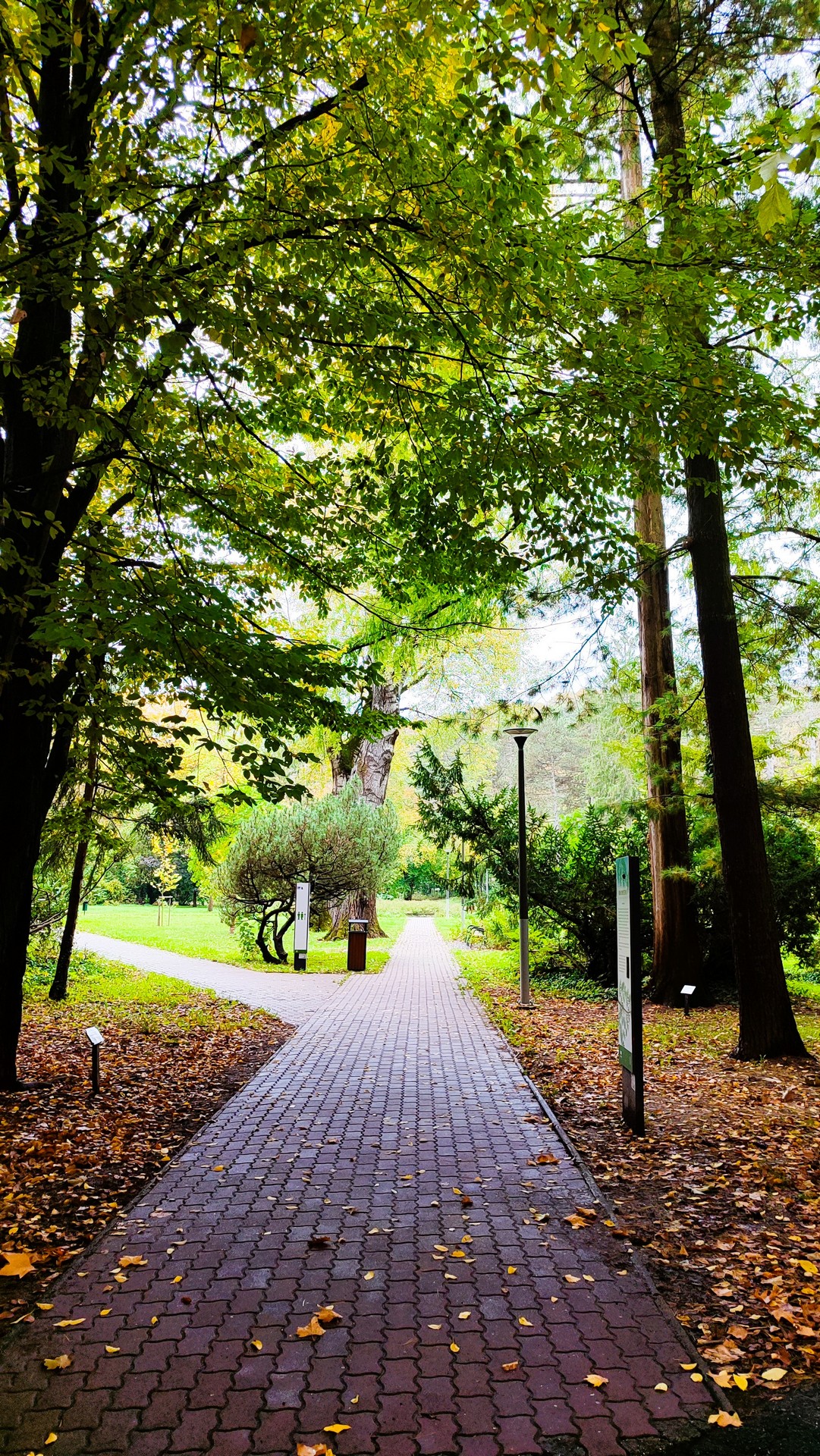 Séta útvonal a miskolctapolcai őshonos parkban