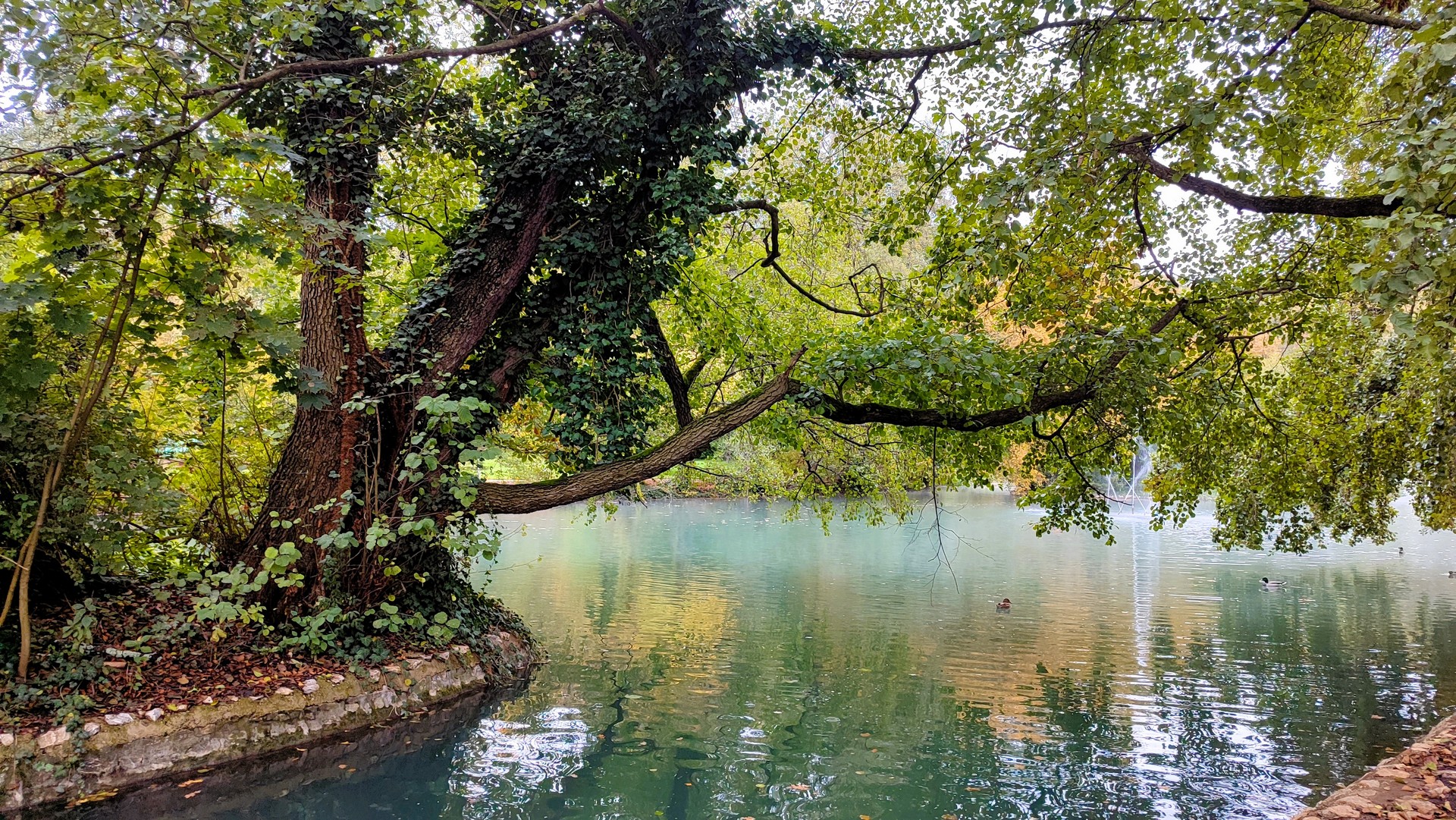 Csillogó fények a csónakázó-tó felszínén