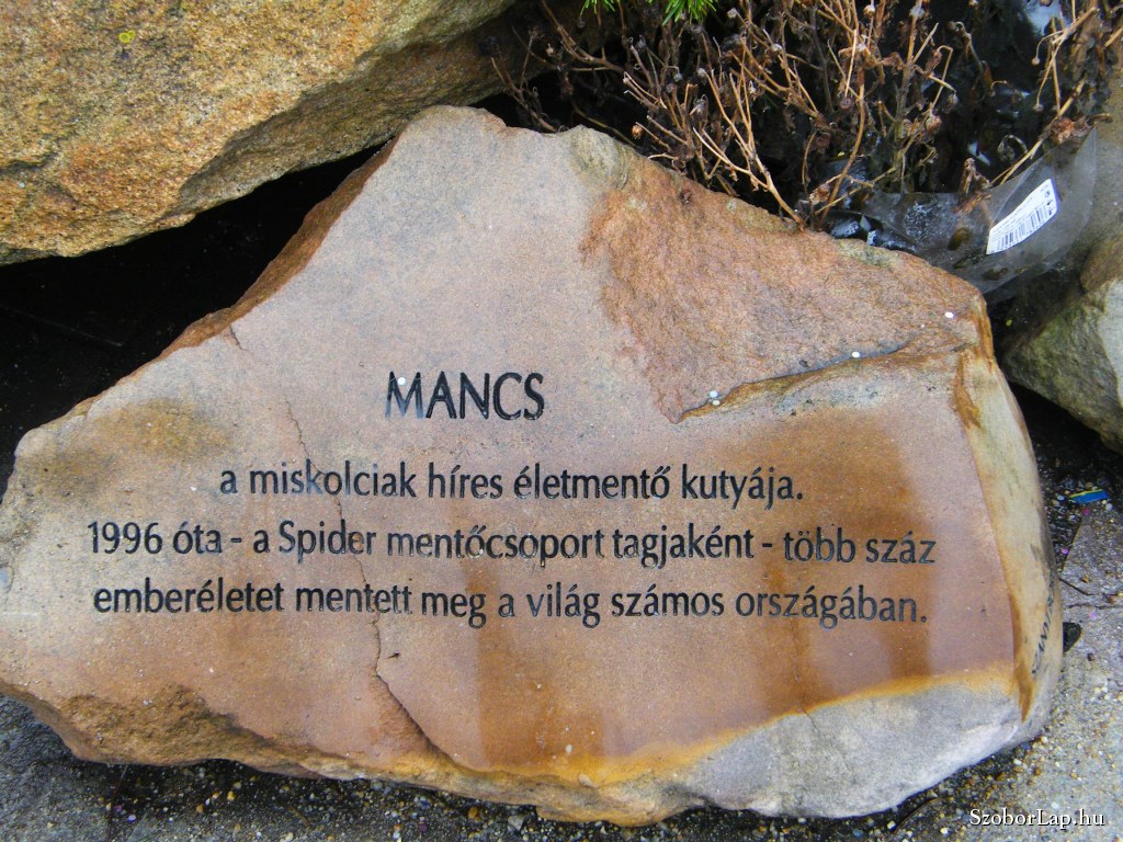 emlékezzünk Mancsra, az életmentő kutyára