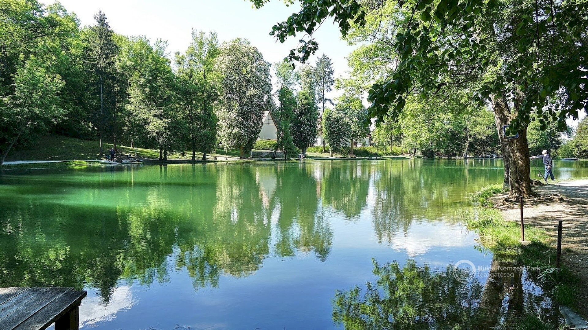 Felsőtárkány